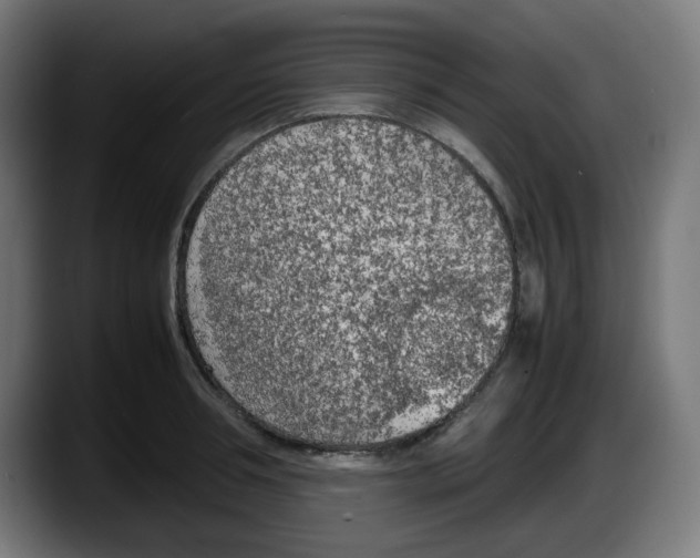 X0000087600994200705251918