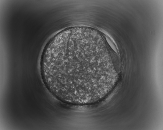 X0000087600995200705251918