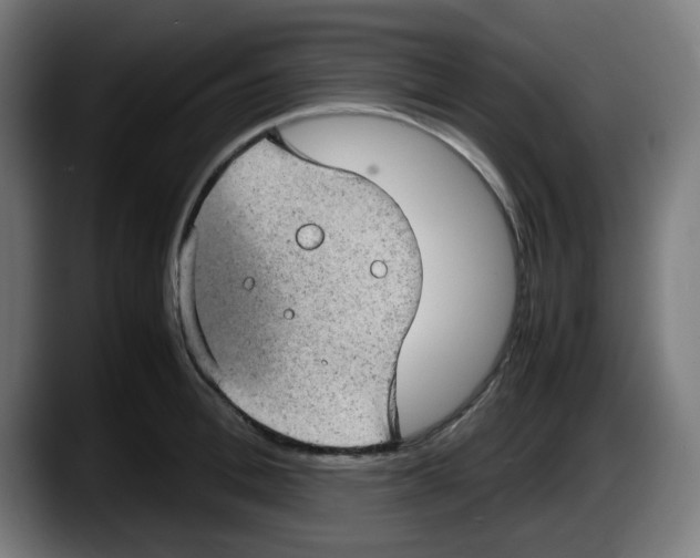 X0000087600996200705251918