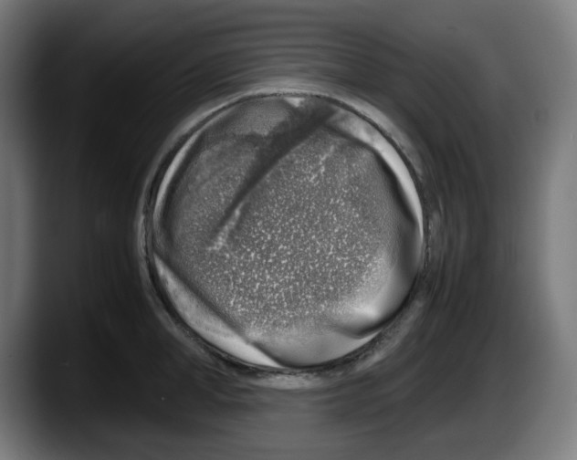 X0000087600998200705251918