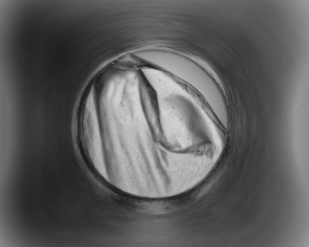 X0000087600999200705251918