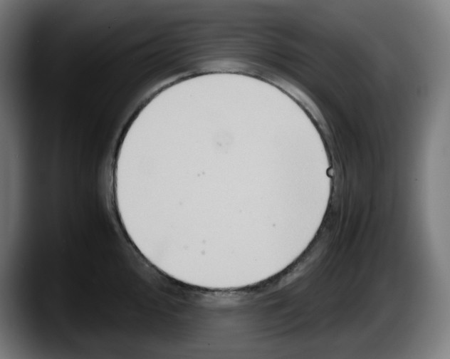 X0000087601000200705251918