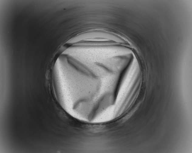 X0000087601001200705251918