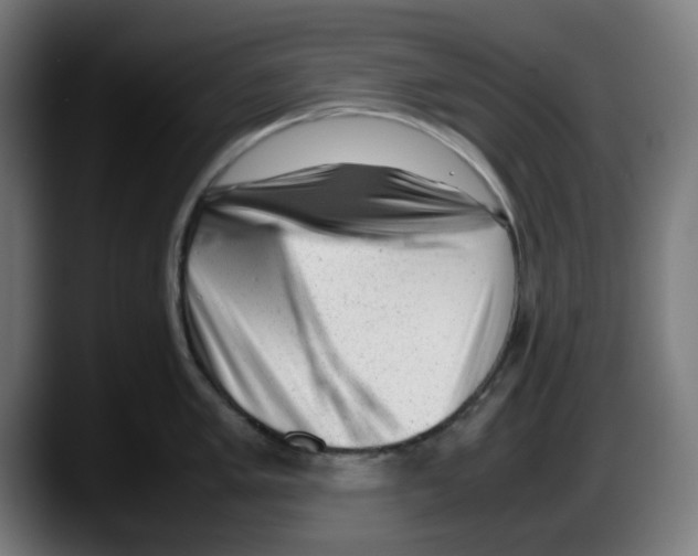 X0000087601005200705251918