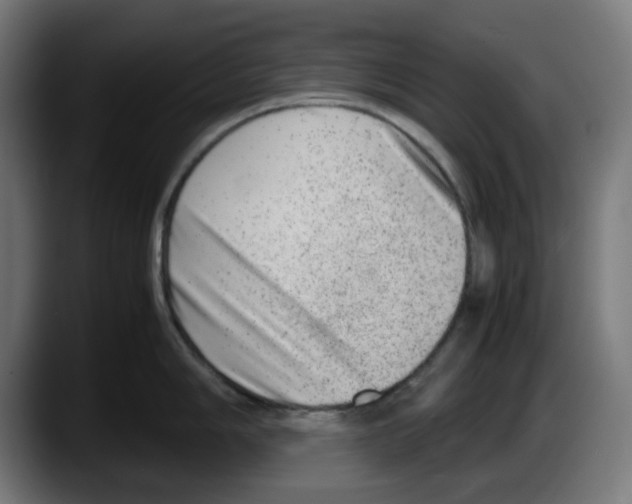 X0000087601006200705251918