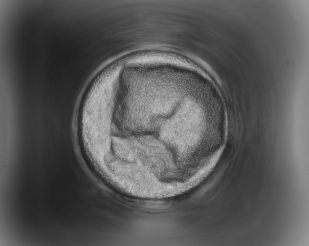 X0000087601007200705251918