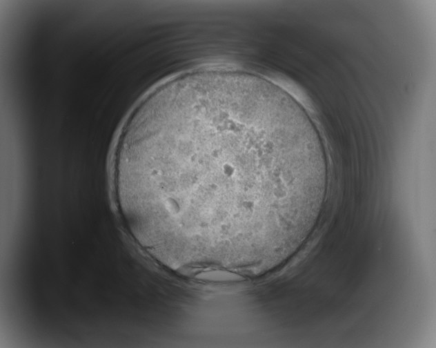 X0000087601008200705251918