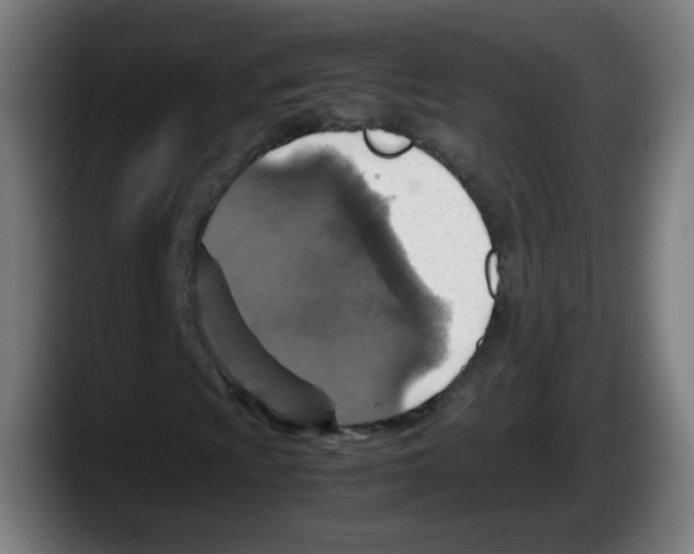 X0000087601009200705251918