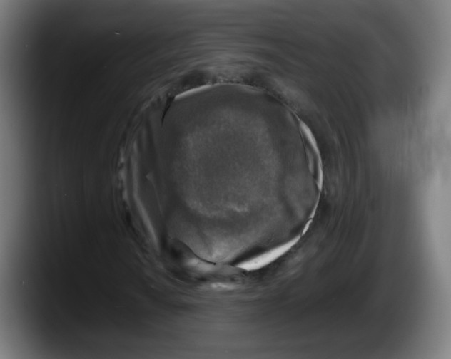 X0000087601010200705251918