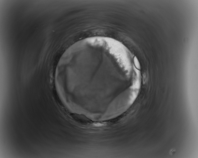 X0000087601011200705251918