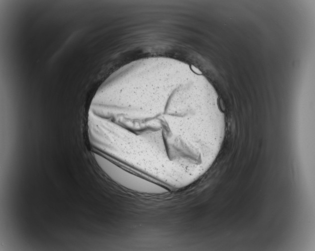 X0000087601012200705251918