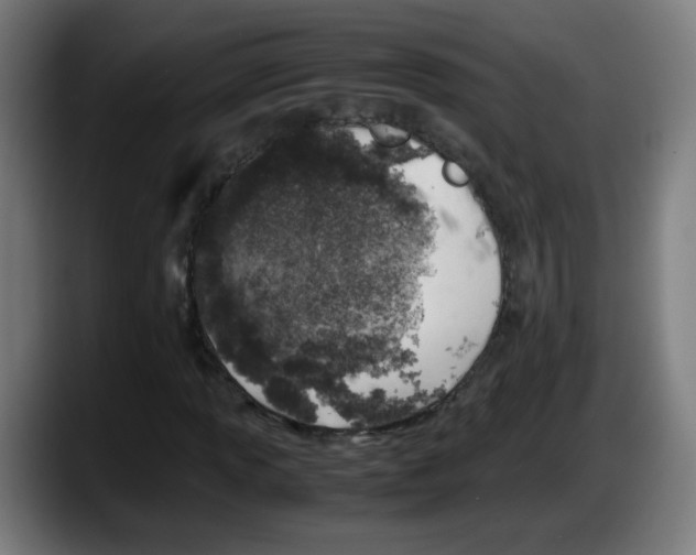 X0000087601013200705251918