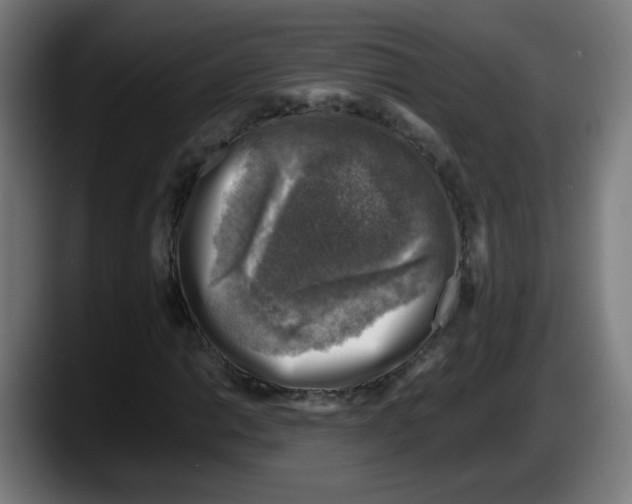 X0000087601014200705251918