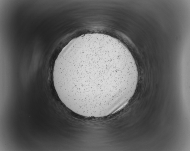 X0000087601016200705251918