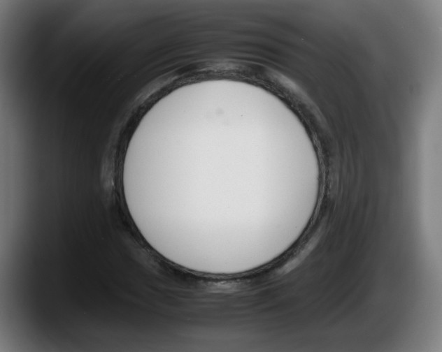 X0000087601017200705251918