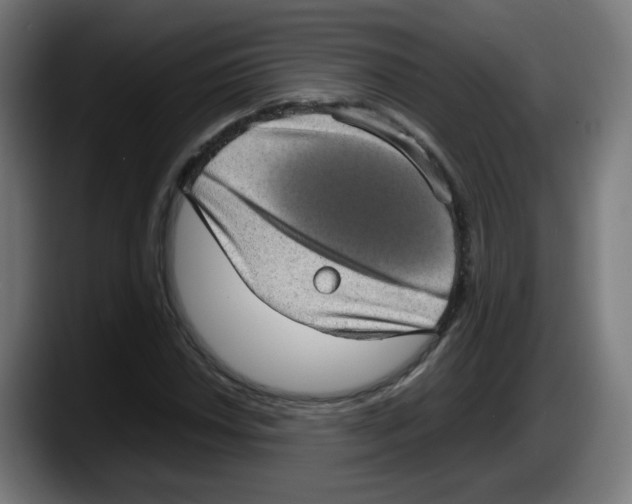 X0000087601018200705251918