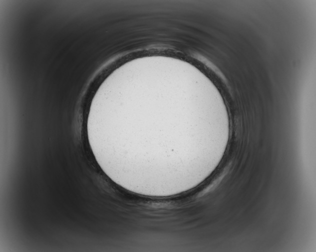 X0000087601021200705251918