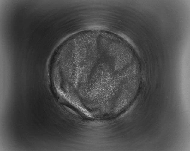 X0000087601022200705251918