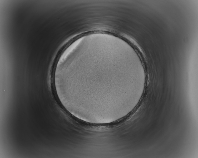 X0000087601024200705251918