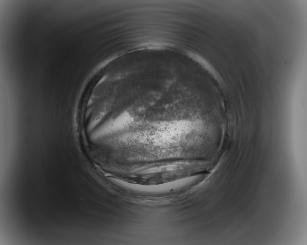 X0000087601026200705251918