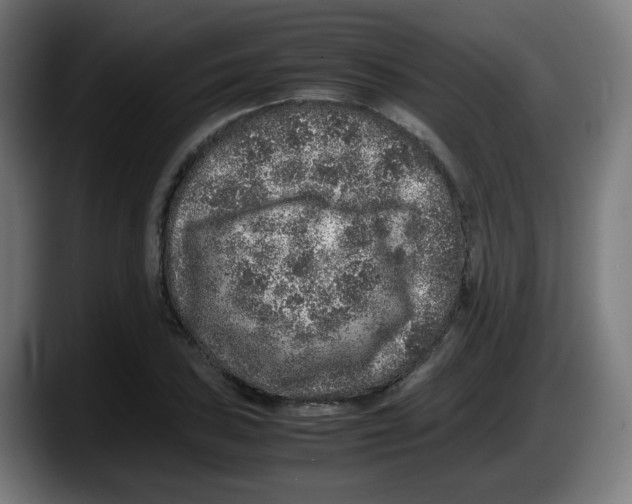 X0000087601027200705251918