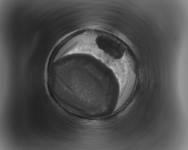 X0000087601028200705251918