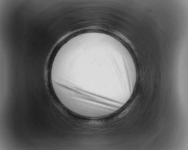 X0000087601029200705251918