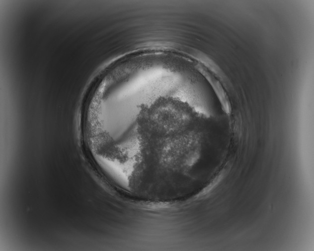 X0000087601030200705251918