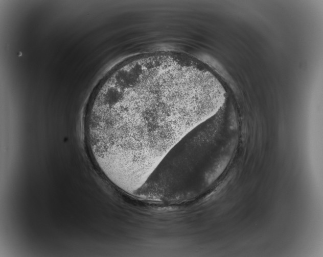 X0000087601031200705251918