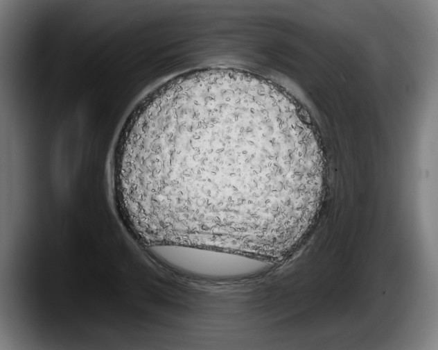 X0000087601032200705251918