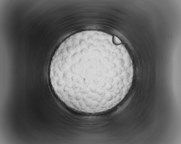 X0000087601033200705251918