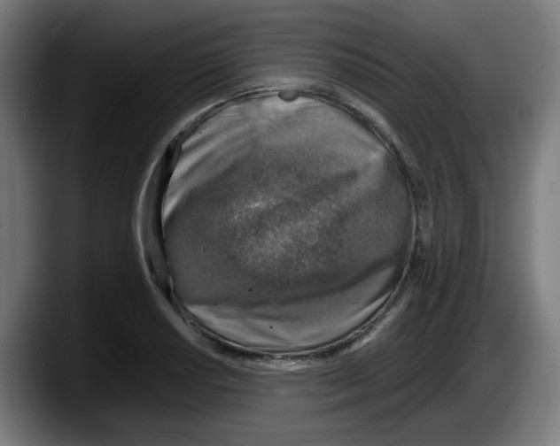 X0000087601034200705251918