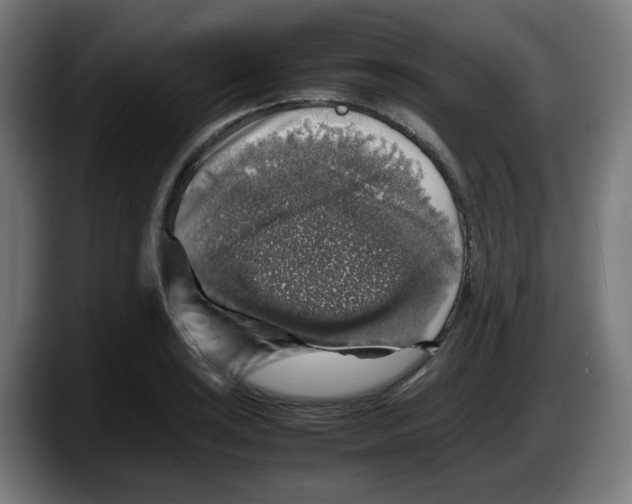 X0000087601035200705251918