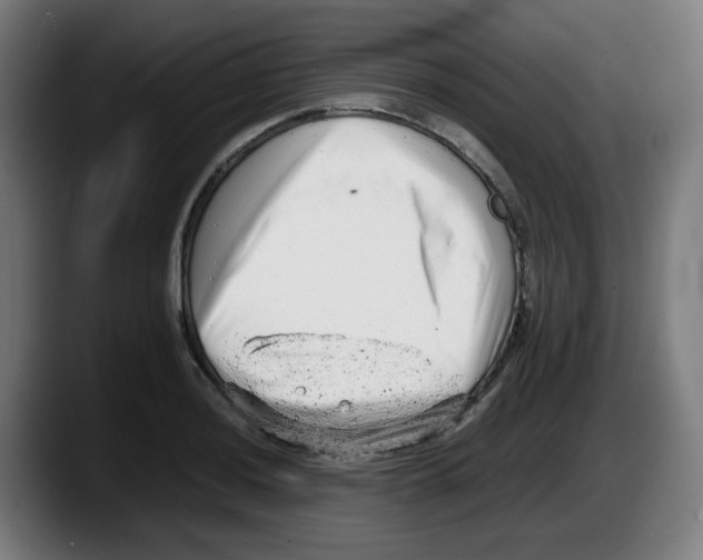 X0000087601036200705251918