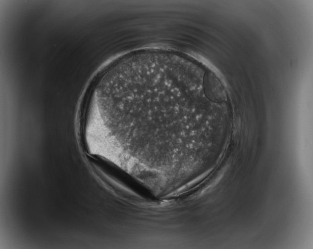 X0000087601037200705251918