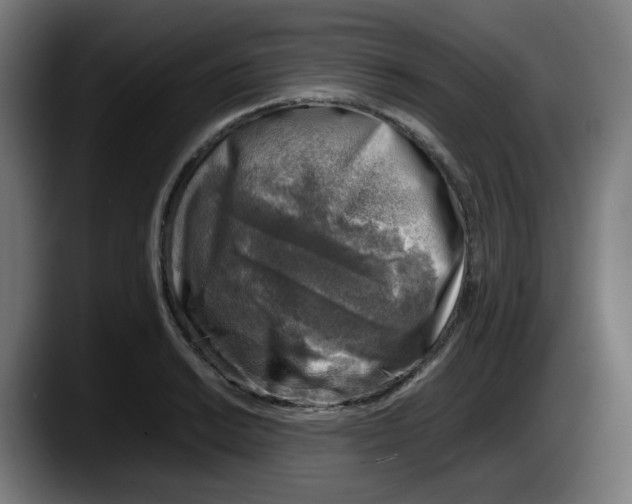 X0000087601038200705251918