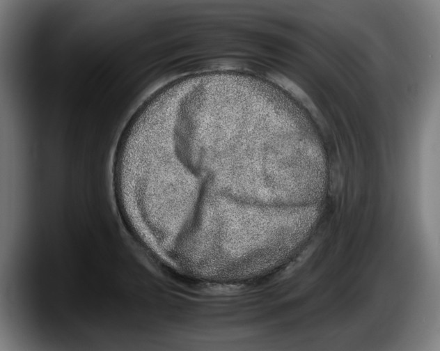 X0000087601039200705251918