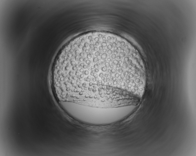 X0000087601040200705251918