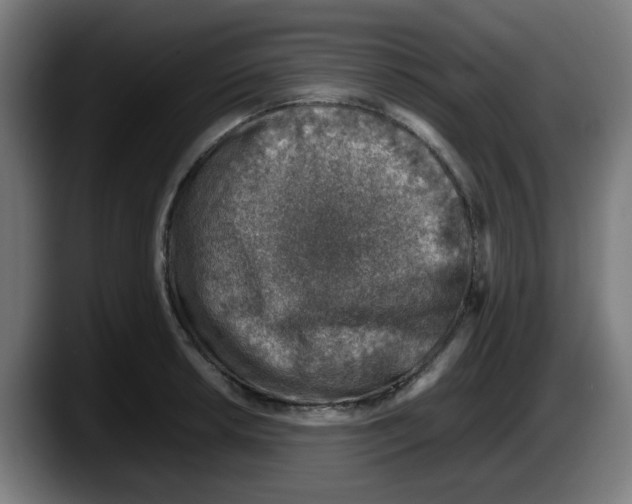 X0000087601042200705251918