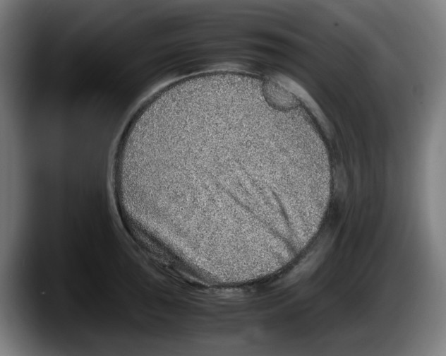 X0000087601043200705251918