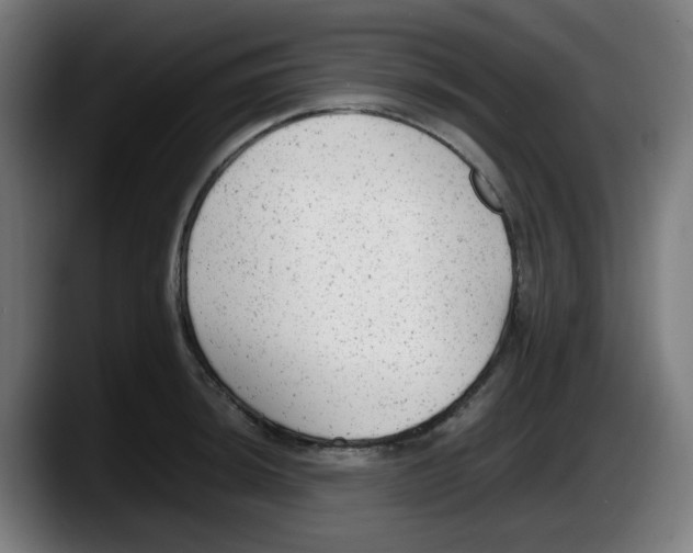 X0000087601044200705251918