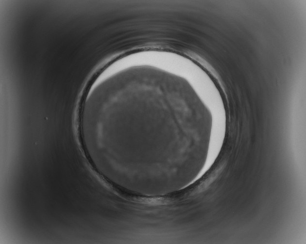 X0000087601045200705251918