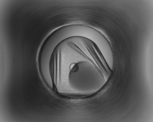 X0000087601046200705251918