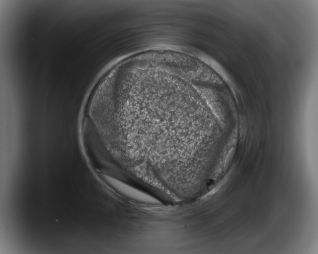 X0000087601048200705251918