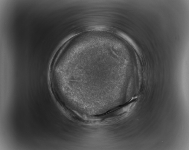 X0000087601050200705251918