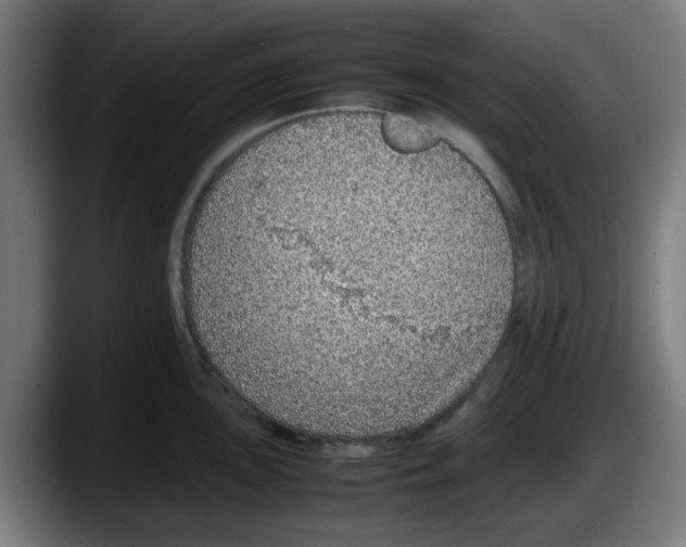 X0000087601051200705251918