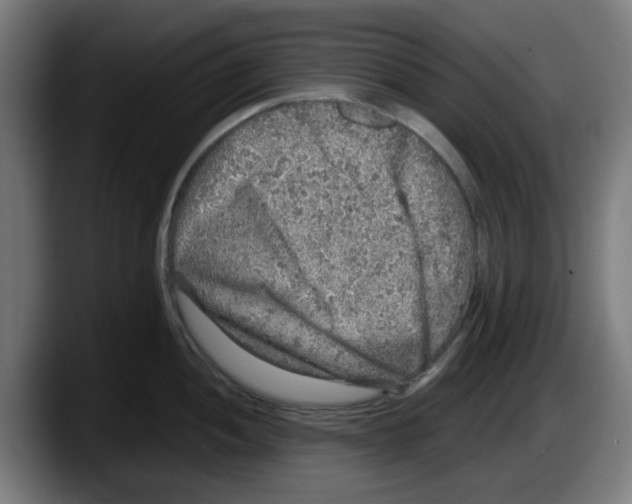 X0000087601052200705251918