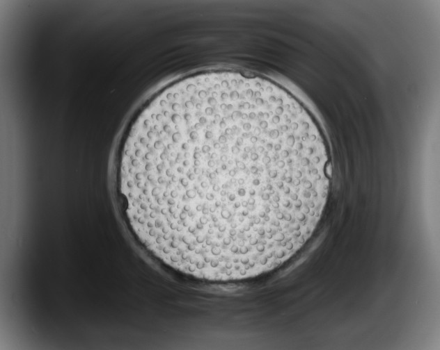 X0000087601053200705251918