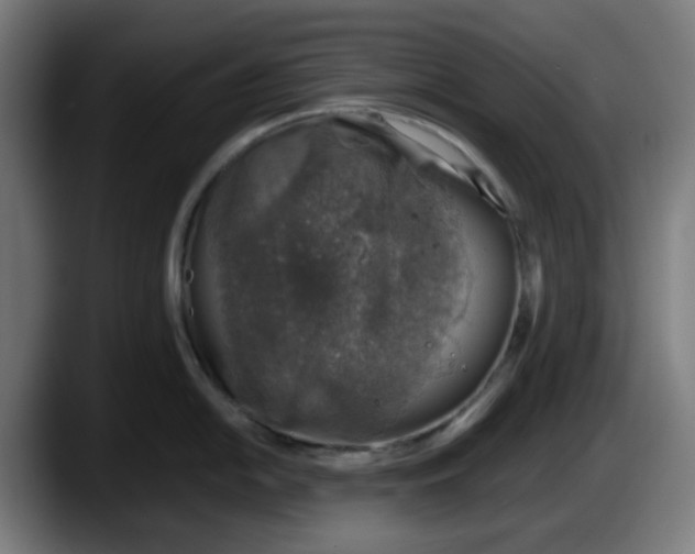 X0000087601054200705251918