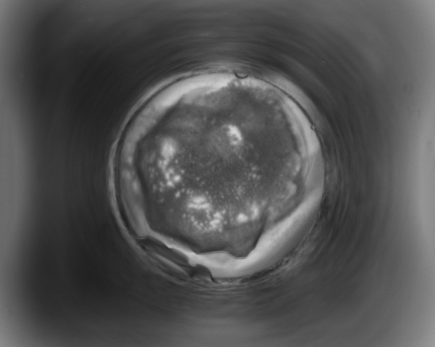 X0000087601055200705251918